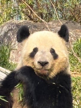 恩賜上野動物園に投稿された画像（2024/12/5）