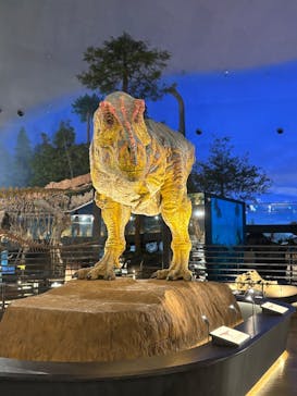 福井県立恐竜博物館に投稿された画像（2024/12/5）