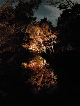 六義園に投稿された画像（2024/12/5）