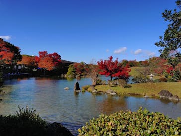 万博記念公園に投稿された画像（2024/12/5）
