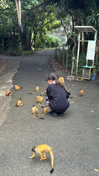 石垣やいま村に投稿された画像（2024/12/5）