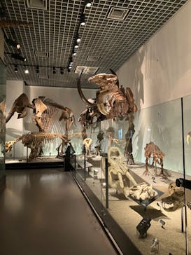 国立科学博物館に投稿された画像（2024/12/5）
