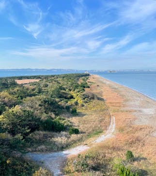 スカイエンジェルに投稿された画像（2024/12/5）