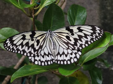 琉球村に投稿された画像（2024/12/5）