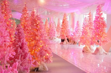 梅田スカイビル・空中庭園展望台に投稿された画像（2024/12/5）