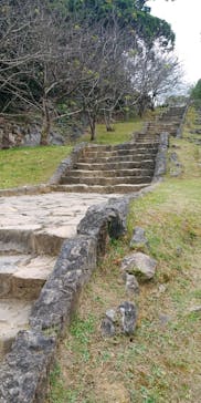 今帰仁城跡に投稿された画像（2024/12/5）