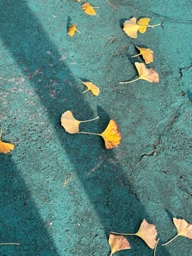 西武園ゆうえんちに投稿された画像（2024/12/5）