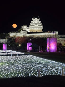姫路城ライトアップイベント　鏡花水月　@姫路城三の丸広場に投稿された画像（2024/12/5）
