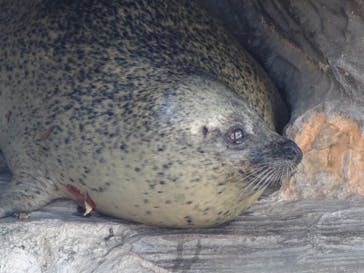 名古屋市東山動植物園に投稿された画像（2024/12/5）