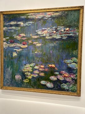 モネ 睡蓮のとき（国立西洋美術館）に投稿された画像（2024/12/5）