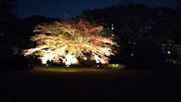 六義園に投稿された画像（2024/12/5）