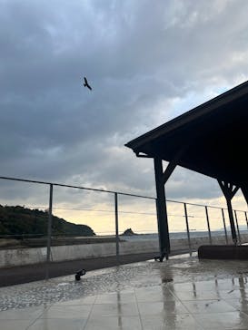 長崎温泉 Ark Land Spa (旧：島風の湯)に投稿された画像（2024/12/5）