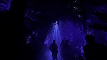 京都府立植物園　LIGHT CYCLES KYOTOに投稿された画像（2024/12/5）