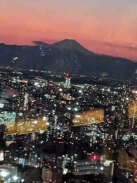 東京タワーに投稿された画像（2024/12/5）