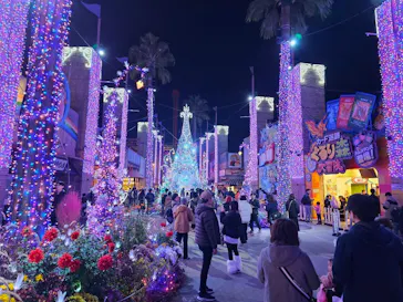 ひらかたパークに投稿された画像（2024/12/5）