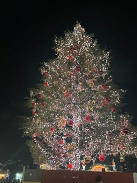 Christmas Market in 横浜赤レンガ倉庫 2025に投稿された画像（2024/12/5）