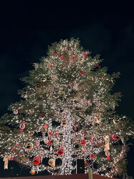 Christmas Market in 横浜赤レンガ倉庫 2025に投稿された画像（2024/12/5）