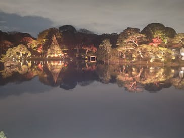 六義園に投稿された画像（2024/12/5）