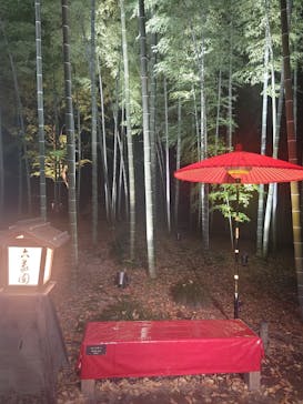 六義園に投稿された画像（2024/12/5）