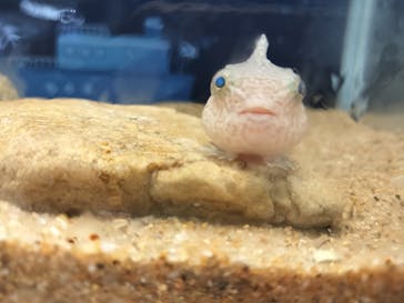 マリンワールド海の中道に投稿された画像（2024/12/6）