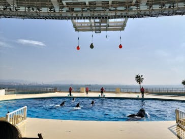 マリンワールド海の中道に投稿された画像（2024/12/6）