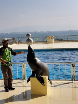 マリンワールド海の中道に投稿された画像（2024/12/6）