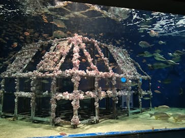 マリンワールド海の中道に投稿された画像（2024/12/6）