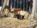 恩賜上野動物園に投稿された画像（2024/12/6）