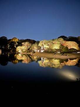 六義園に投稿された画像（2024/12/6）