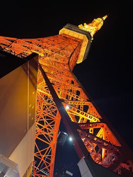 東京タワーに投稿された画像（2024/12/6）