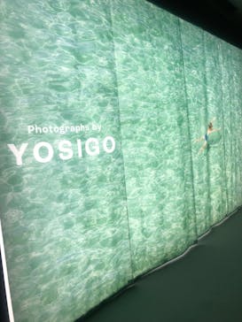 YOSIGO 写真展 Holiday Memories - 旅の瞬間 -に投稿された画像（2024/12/6）