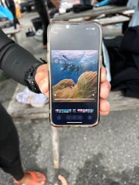 青の洞窟専門店　沖縄ダイビングショップ和に投稿された画像（2024/12/6）