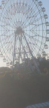 浜名湖パルパルに投稿された画像（2024/12/6）