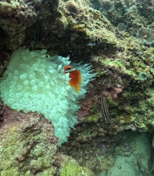 武藤潜水に投稿された画像（2024/12/6）