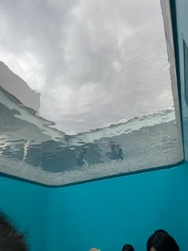 金沢21世紀美術館に投稿された画像（2024/12/6）