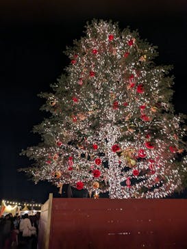 Christmas Market in 横浜赤レンガ倉庫 2025に投稿された画像（2024/12/6）