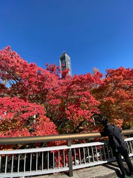 名古屋市東山動植物園に投稿された画像（2024/12/6）
