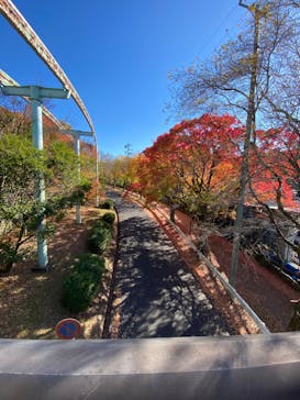 名古屋市東山動植物園に投稿された画像（2024/12/6）