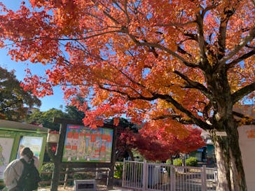 名古屋市東山動植物園に投稿された画像（2024/12/6）