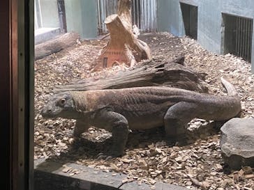 名古屋市東山動植物園に投稿された画像（2024/12/6）