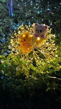 ハルカス300(展望台)に投稿された画像（2024/12/6）