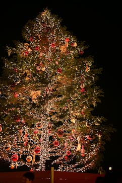 Christmas Market in 横浜赤レンガ倉庫 2025に投稿された画像（2024/12/6）