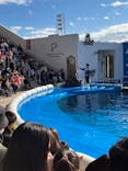 仙台うみの杜水族館に投稿された画像（2024/12/6）