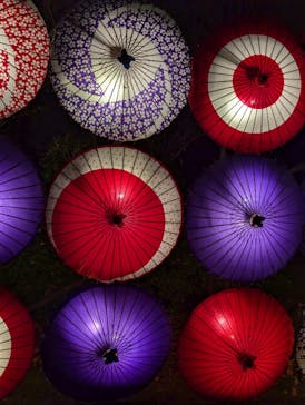 国営昭和記念公園 秋の夜散歩に投稿された画像（2024/12/6）