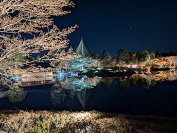 国営昭和記念公園 秋の夜散歩に投稿された画像（2024/12/6）