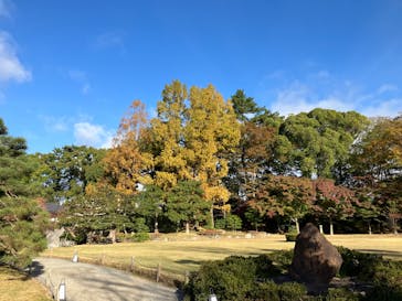 元離宮二条城に投稿された画像（2024/12/6）