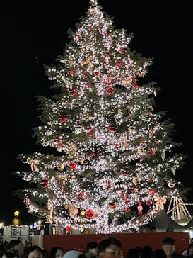 Christmas Market in 横浜赤レンガ倉庫 2025に投稿された画像（2024/12/6）