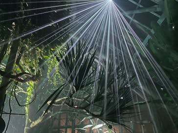 京都府立植物園　LIGHT CYCLES KYOTOに投稿された画像（2024/12/6）