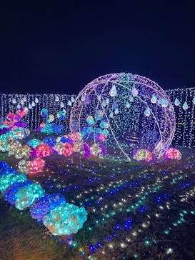 修善寺虹の郷に投稿された画像（2024/12/6）