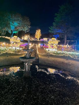 修善寺虹の郷に投稿された画像（2024/12/6）